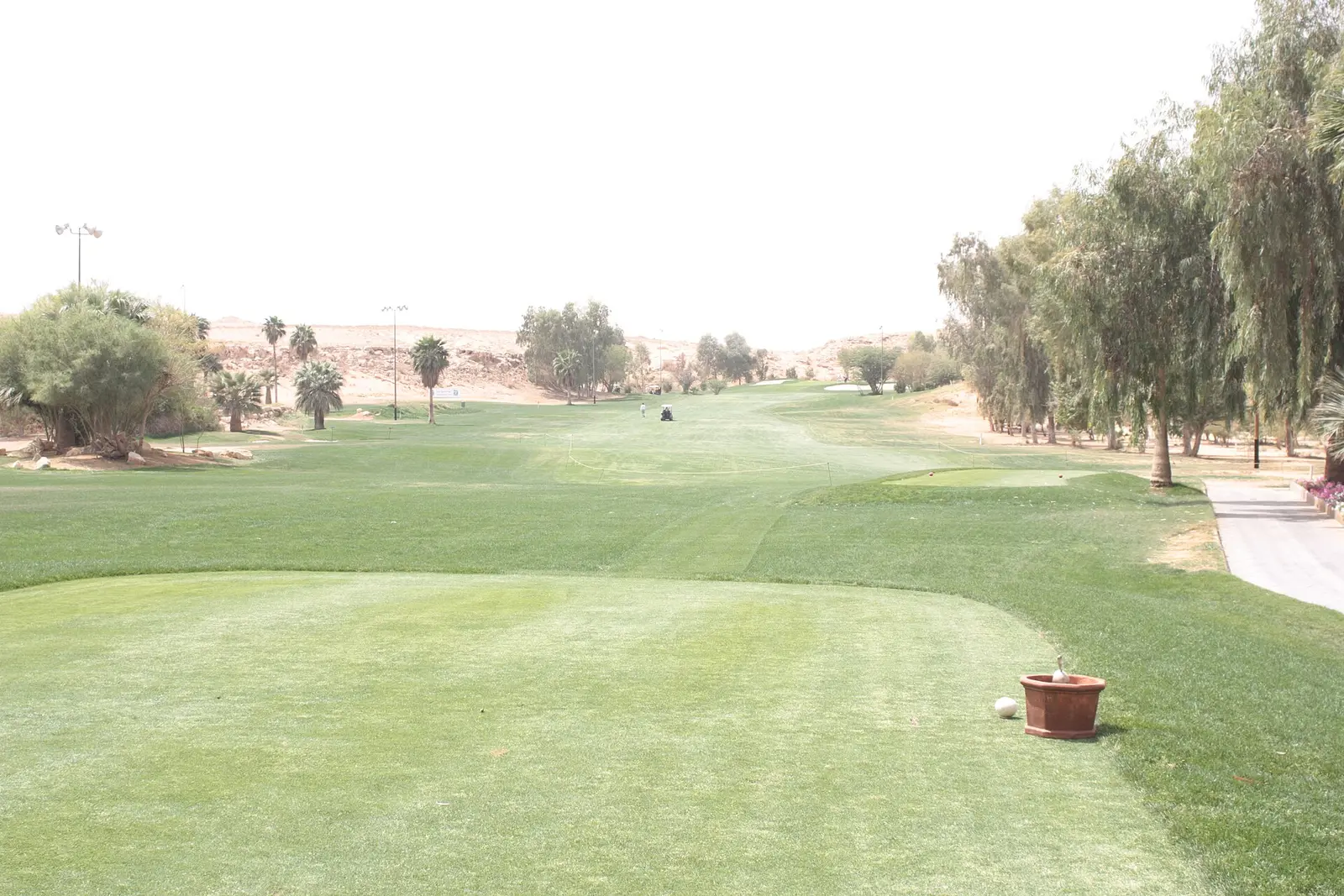 Fairway at Dirab Golf Club, a golf course in Riyadh